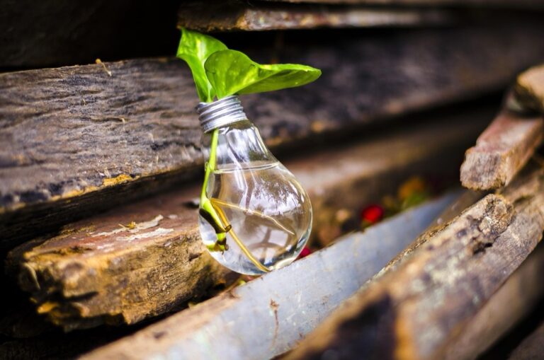 8 DIY Garden Projects Using Reclaimed Materials That Lower Your Footprint