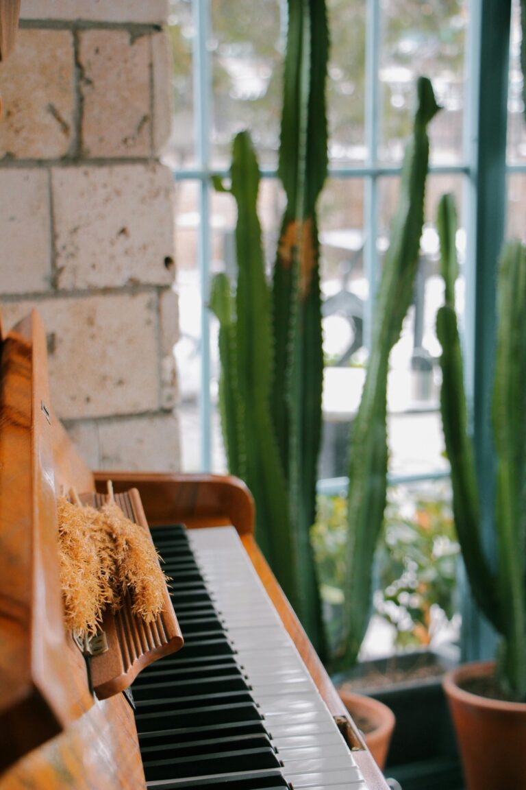 7 Ideas for Using Vertical Space for Instrument Storage That Maximize Every Inch