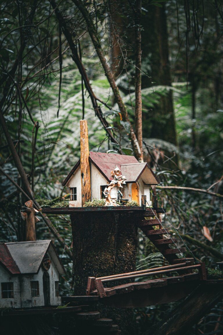 7 Steps to Evaluate Insurance Options for Tiny Homes That Protect Freedom