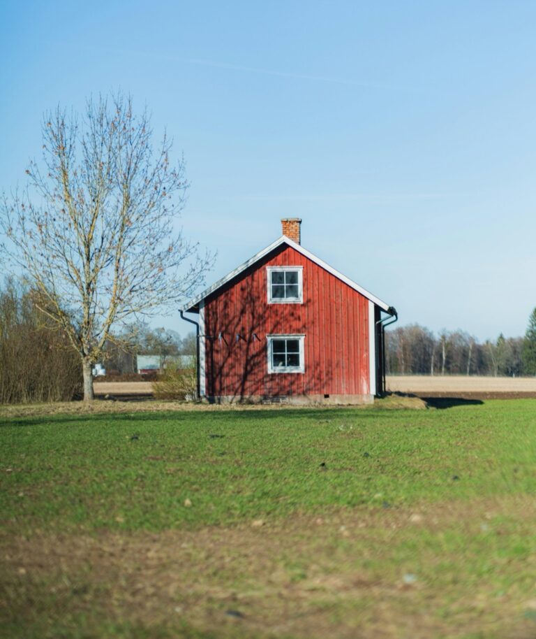 7 Best Practices for Tiny Home Site Selection That Enable Freedom