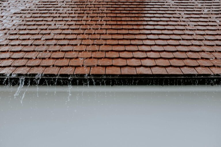 7 Best Multi-Purpose Rain Collection Systems for Small Homes That Save Water & Money