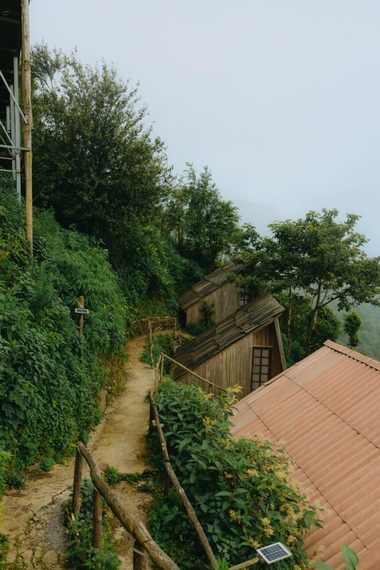 7 Design Strategies for Climate Resilient Small Homes That Support Self-Reliance