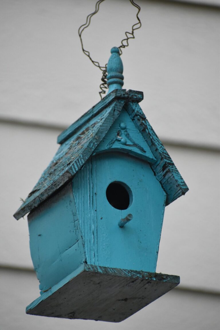 5 Best Solutions for Roof Leaks in Tiny Homes That Save Big