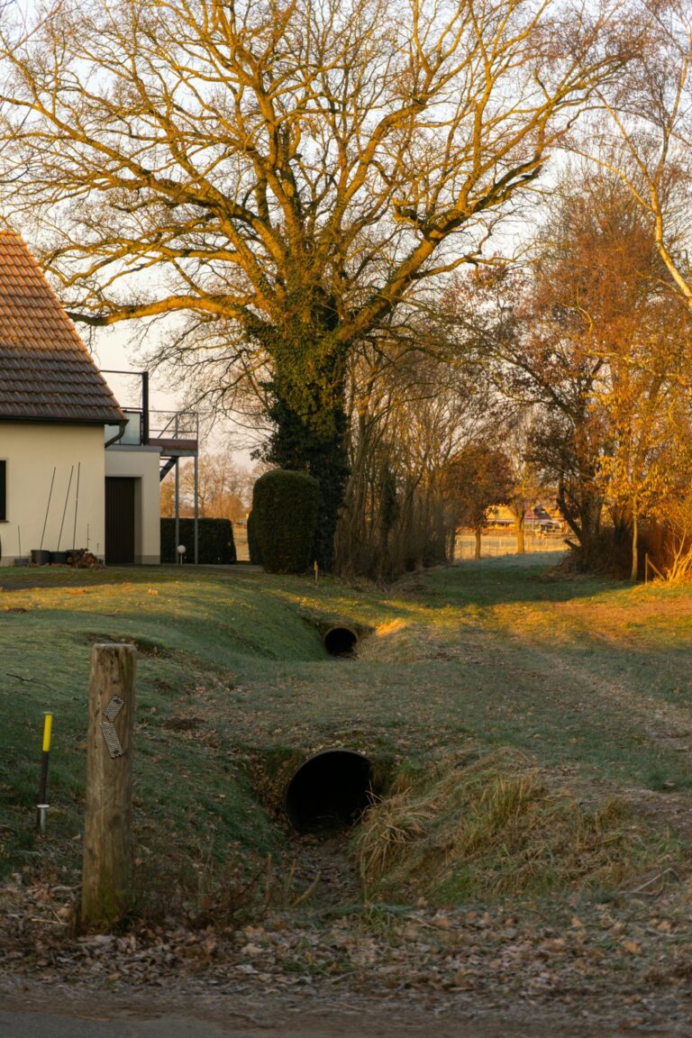 7 Essential Tools for Winterizing Water Systems That Prevent Costly Damage