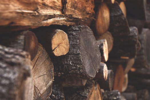 6 Best Compact Firewood Racks For Apartments That Maximize Every Inch