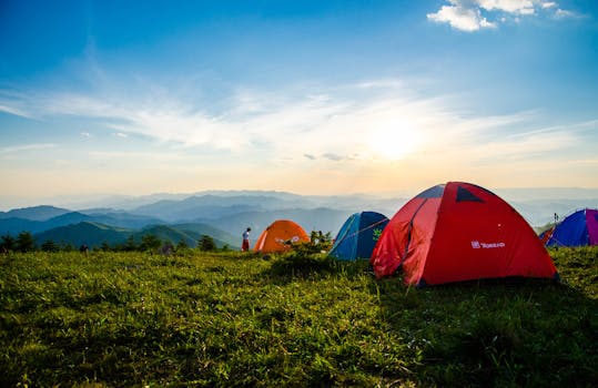 6 Best Mosquito Nets For Bug-Free Outdoor Living At Campgrounds Rated