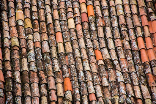 7 Best Roofing Felt For Added Protection In Apartments That Defy Convention