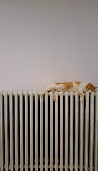 6 Best Heating Solutions For Small Living Spaces That Save Without Sacrifice