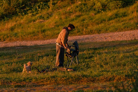 6 Best Outdoor Pet Gear For Bringing Pets To Campgrounds Nomads Swear By