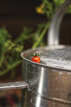 5 Best Garden Pest Control Methods For Tiny Houses Support Self-Reliance