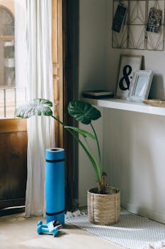 5 Best Adjustable Dumbbells For Small Apartments That Maximize Every Inch