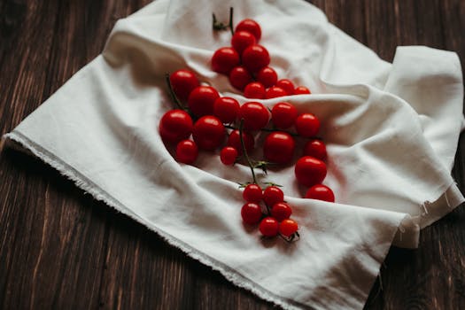 6 Best Food Dehydrators For Preserving Fresh Produce In Small Spaces To Love