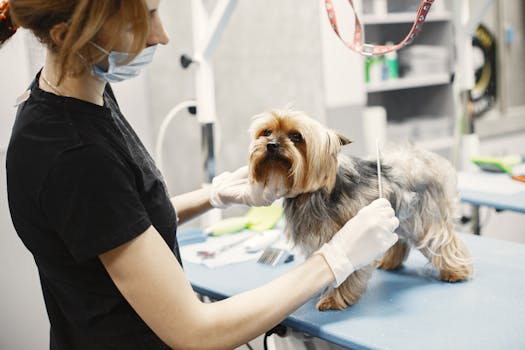 5 Best Pet Grooming Supplies For Small Spaces That Serve Multiple Needs