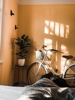 6 Best Bike Wall Art For Apartments That Serve Multiple Needs