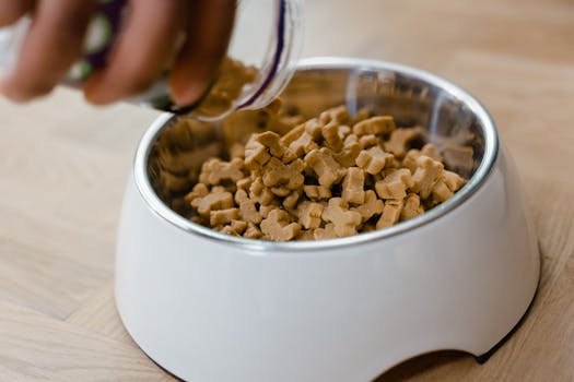 5 Best Stylish Pet Food Containers For Modern Apartments That Save Space