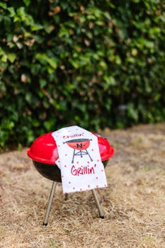 5 Best Compact Outdoor Grills For RV Cooking That Nomads Swear By