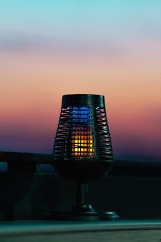 5 Best Solar-Powered Lights For Camping That Support Self-Reliance